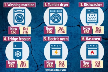 Energy bill warning over simple appliance tweaks that could save you £100's