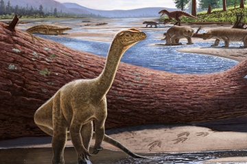 Oldest African dinosaur EVER found unearthed after 230million years
