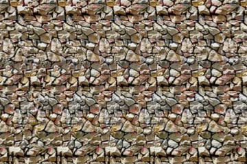 Can you see the dinosaur hidden in this strange photo?