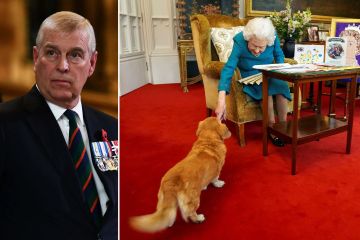 Andrew to be left Queen's three corgis as fate of beloved pets is confirmed