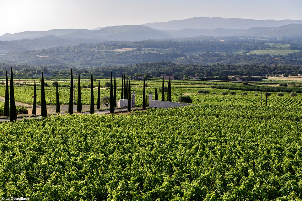 Mark stops for a light lunch at Aureto, the hotel’s own vineyard (pictured above)